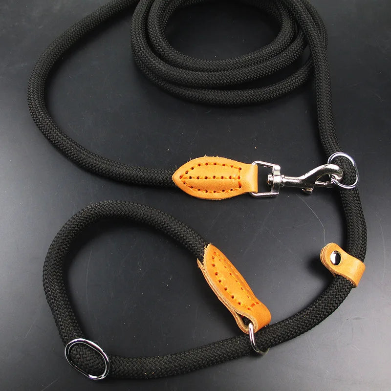 Multifunctional P Chain Slip Leash