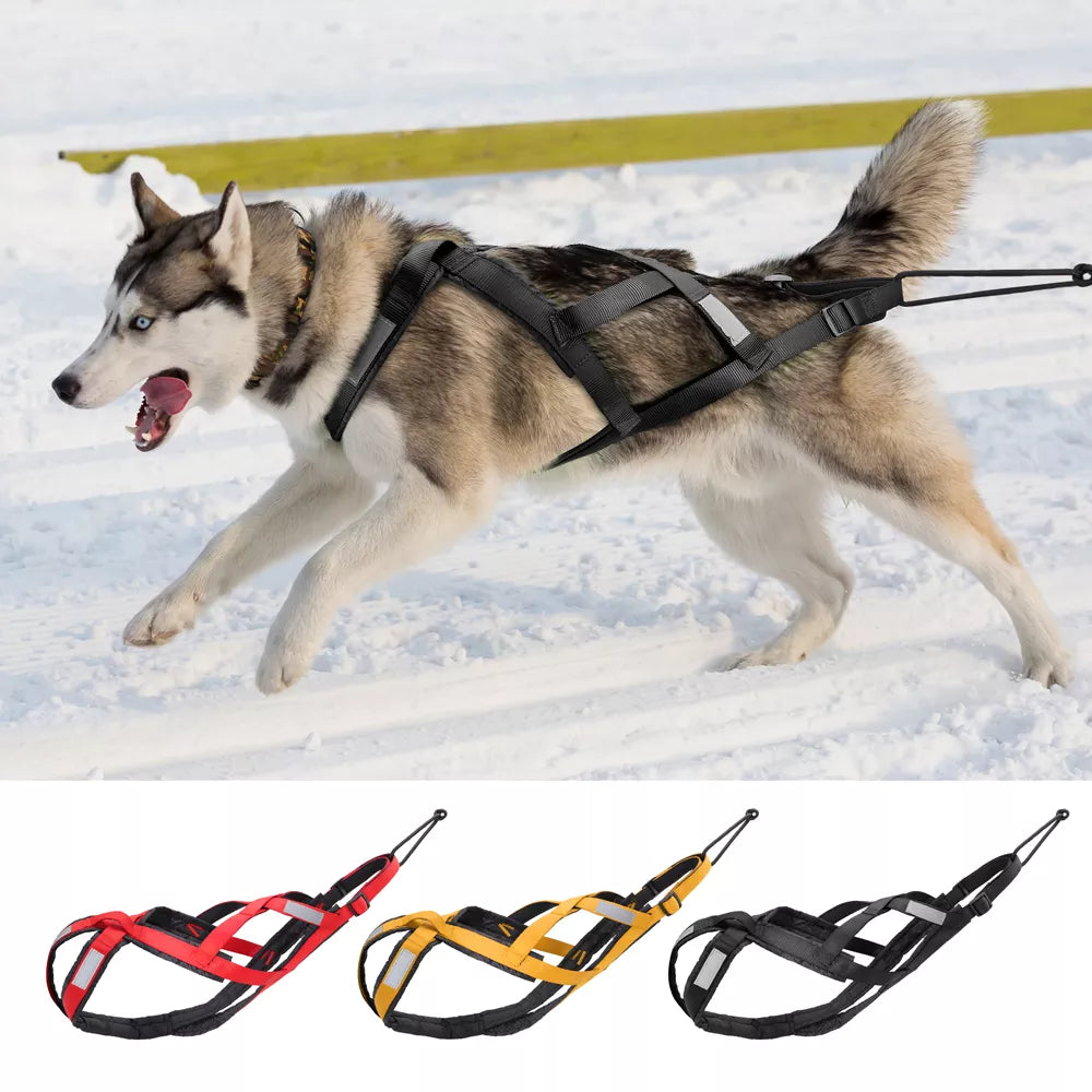 Water-Resistant Dog Pull Reflective Harness