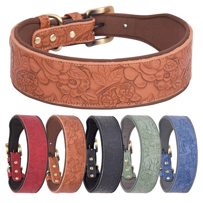 Engraved Leather Padded Dog Collar