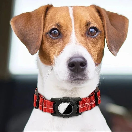 AirTag Dog Collar