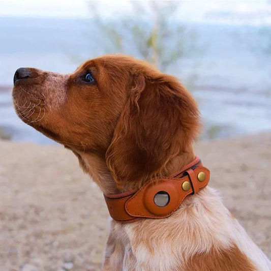 Leather Apple Airtag Dog Collar