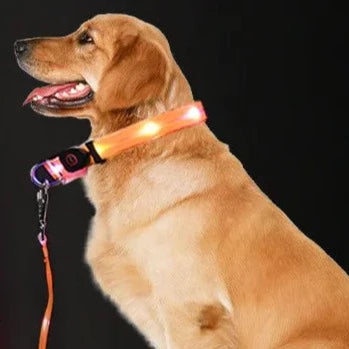 LED Rechargeable Flashing Collar Leash Set